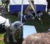 /images/events/11/Bark in the Park 2008 015-thumb.jpg